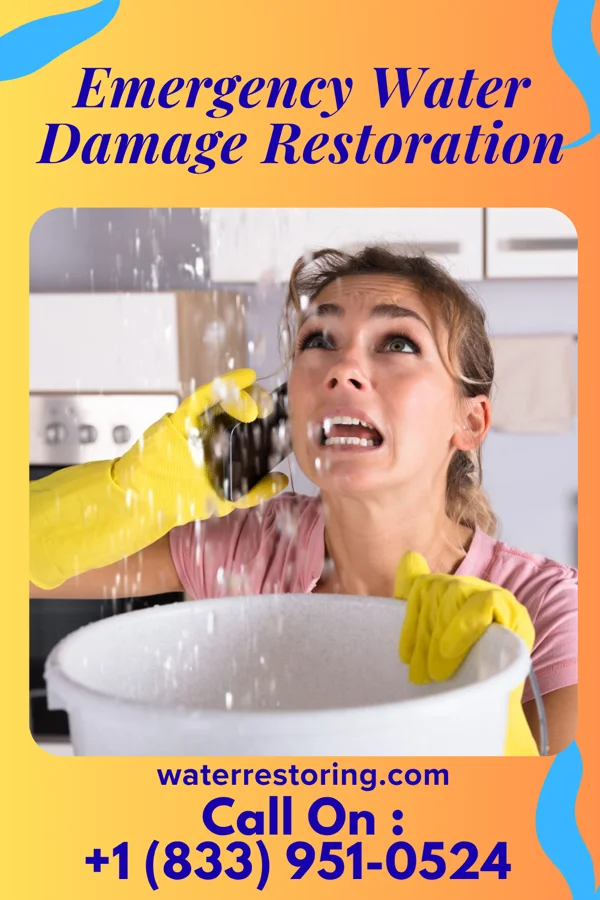 Emergency Water Damage Restoration in Mapleville, MD