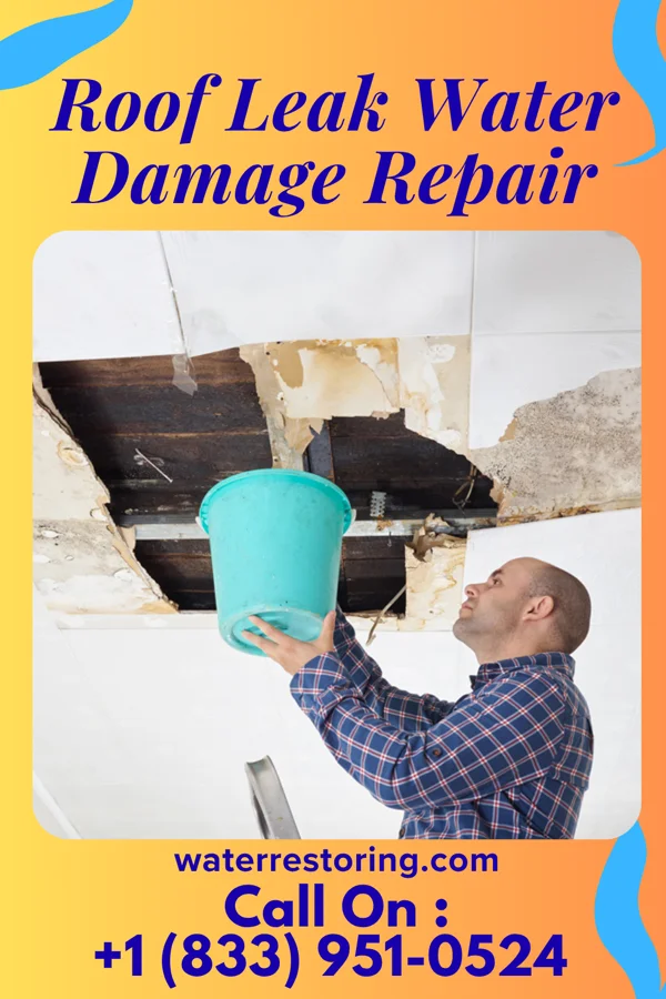 Roof Leak Water Damage Repair in Mapleville, MD