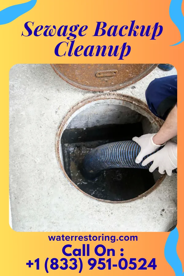 Sewage Backup Cleanup in Mapleville, MD