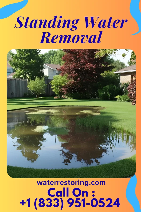 Standing Water Removal in Mapleville, MD